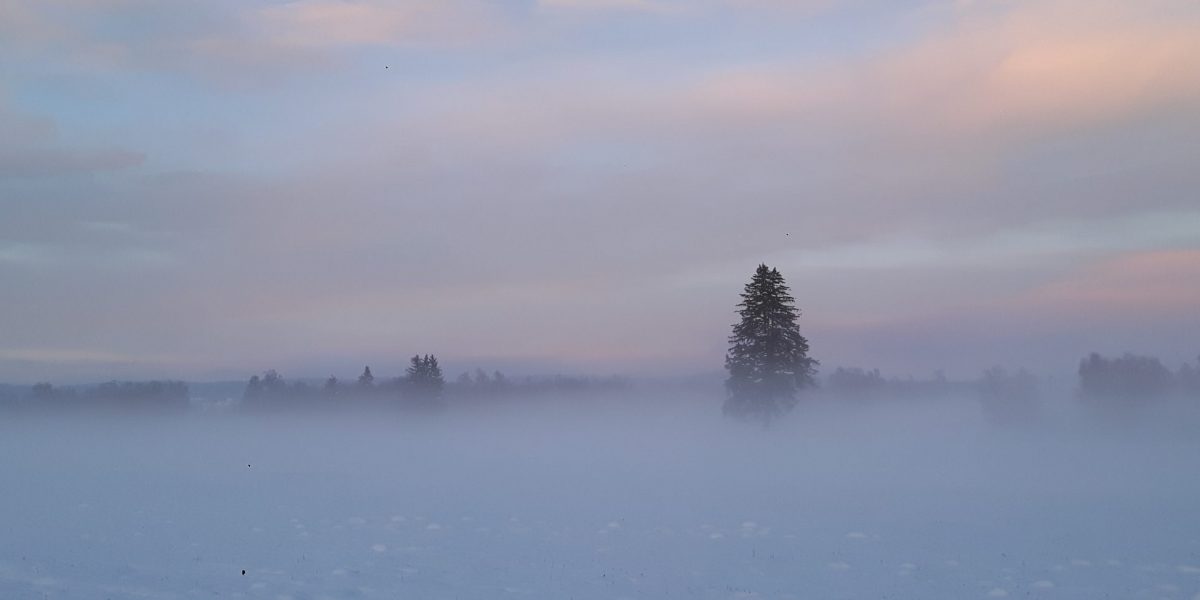 Weihnachtsbasar Naturschutzzentrum Wilhelmsdorf Bild mit Nebel und Moorlandschaft