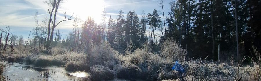 Winterstimmung im Pfrunger-Burgweiler Ried