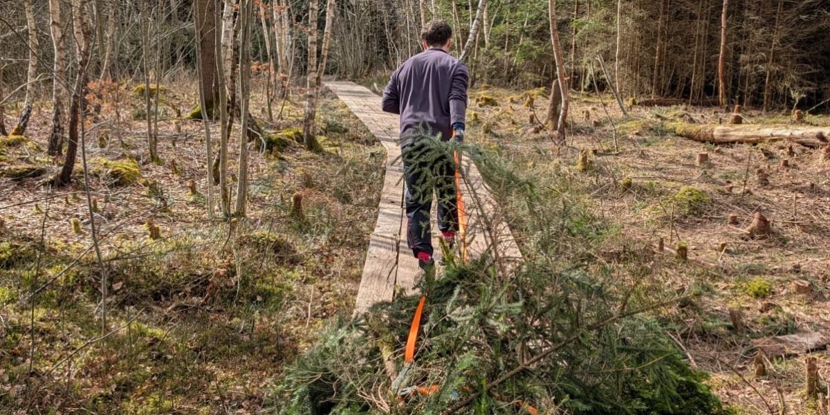 Arbeitseinsatz AEB März 2026 im Pfrunger-Burgweiler Ried