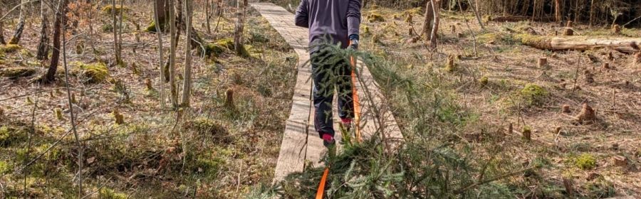 Arbeitseinsatz AEB März 2026 im Pfrunger-Burgweiler Ried