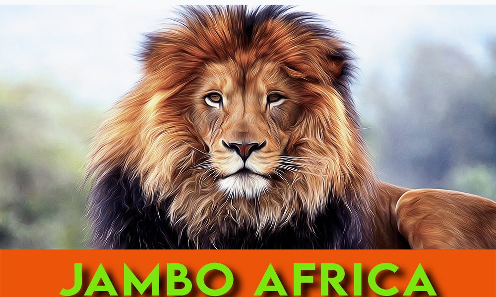 Jambo Africa, Multivisionsshow von Andrea Dublaski