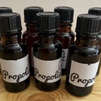 Vortrag Propolis Fläschen