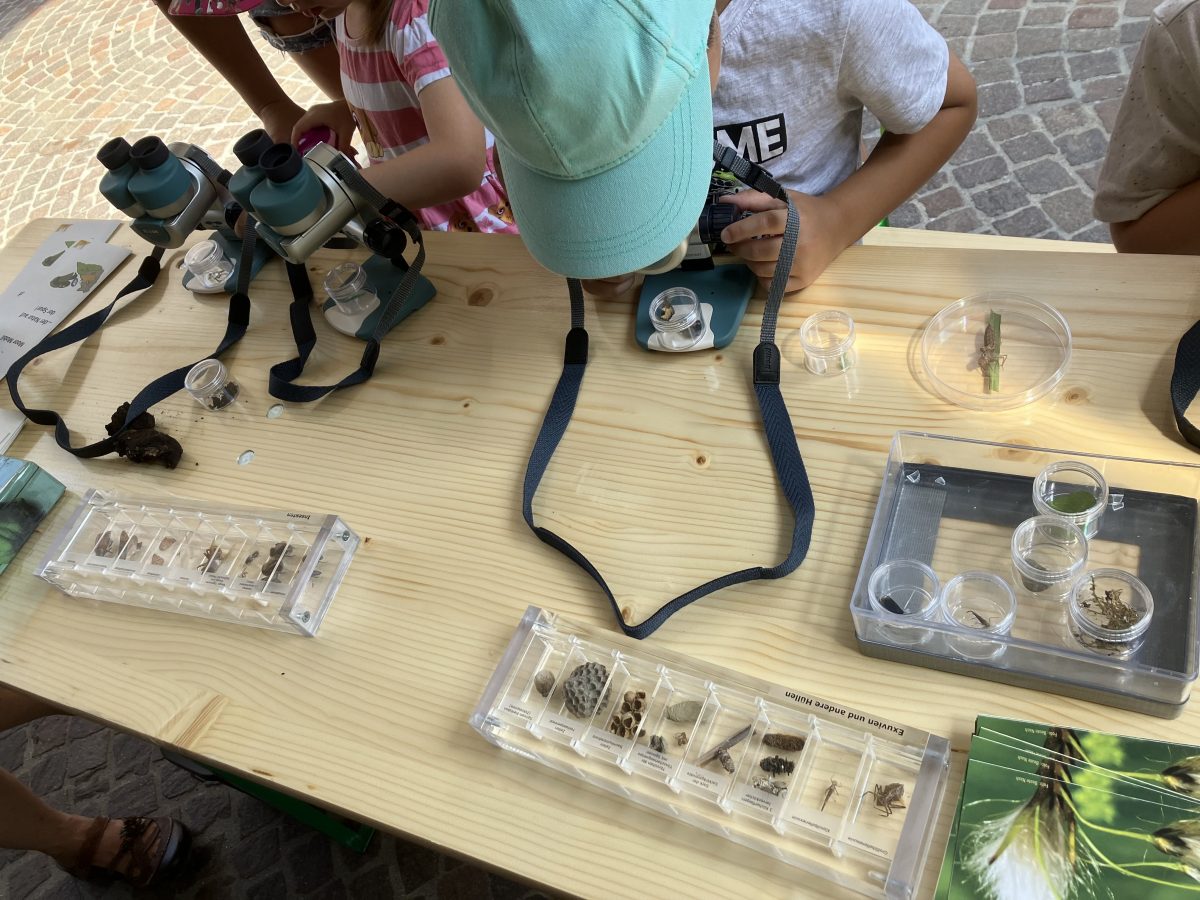 Kinder arbeiten im MoorMobil an Feldmikroskopen
