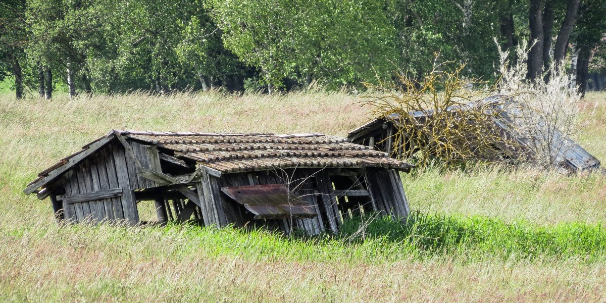 Fotografie trifft auf Natur mit Geschichte: Veranstaltung Naturschutzzentrum Wilhelmsdorf mit dem Kulturzentrum WIlhelmsdorf am 17. Januar 2026: Bild zeigt eine halb im Ried versunkene, verfallende Torfhütte aus Holz