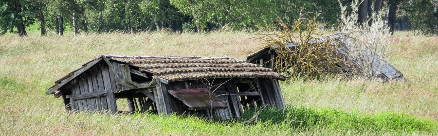 Fotografie trifft auf Natur mit Geschichte: Veranstaltung Naturschutzzentrum Wilhelmsdorf mit dem Kulturzentrum WIlhelmsdorf am 17. Januar 2026: Bild zeigt eine halb im Ried versunkene, verfallende Torfhütte aus Holz