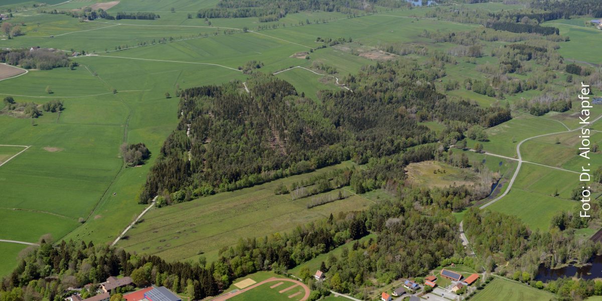 Luftbild des Pfrunger Burgweiler Rieds (Foto: Alois Kapfer) mit dem Eulenbruck und dem Überwachsenen See
