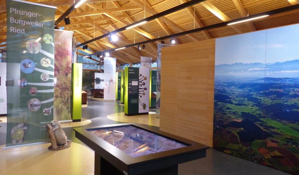Blick in Ausstellung Naturschutzzentrum Wilhelmsdorf