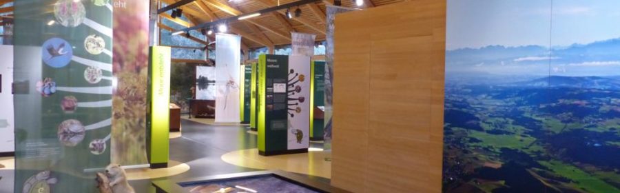 Blick in Ausstellung Naturschutzzentrum Wilhelmsdorf
