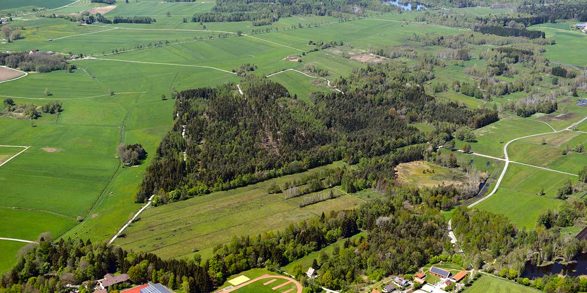 Naturschutzgebiet Pfrunger-Burgweiler Ried