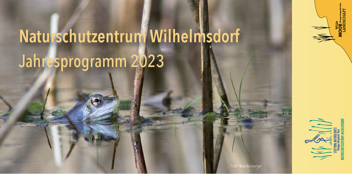Moorfrosch in Blaufärbung im Wasser schwimmend: Titelbild zum Jahresprogramm des Naturschutzzentrums Wilhelmsdorf