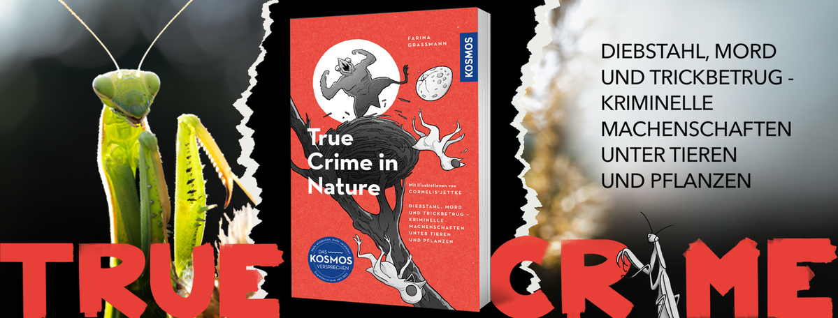 True Crime in Nature Vortrag Farina Grassmann