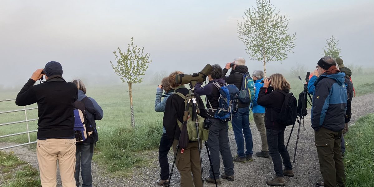 Vogelführung am Parkplatz an der Ostrach im Pfrunger Burgweiler Ried