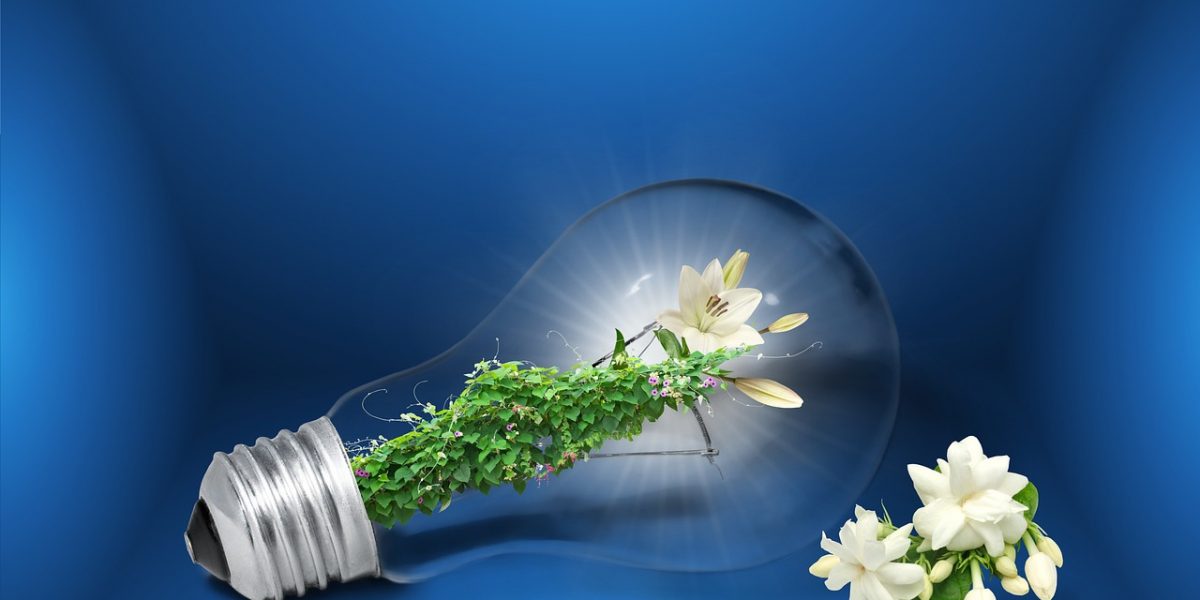 Glühbirne mit Blume drin Energiesparen